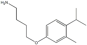 4-(4-aminobutoxy)-2-methyl-1-(propan-2-yl)benzene Structure
