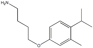 4-(4-aminobutoxy)-2-methyl-1-(propan-2-yl)benzene|