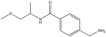 4-(aminomethyl)-N-(1-methoxypropan-2-yl)benzamide 结构式