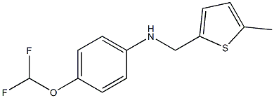 4-(difluoromethoxy)-N-[(5-methylthiophen-2-yl)methyl]aniline Struktur
