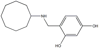 4-[(cyclooctylamino)methyl]benzene-1,3-diol,,结构式