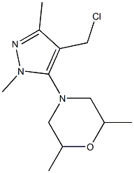 4-[4-(chloromethyl)-1,3-dimethyl-1H-pyrazol-5-yl]-2,6-dimethylmorpholine,,结构式