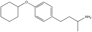 4-[4-(cyclohexyloxy)phenyl]butan-2-amine,,结构式