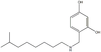 4-{[(7-methyloctyl)amino]methyl}benzene-1,3-diol 化学構造式