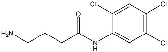 4-amino-N-(2,4,5-trichlorophenyl)butanamide Structure