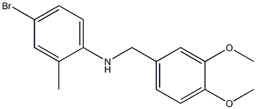 4-bromo-N-[(3,4-dimethoxyphenyl)methyl]-2-methylaniline,,结构式