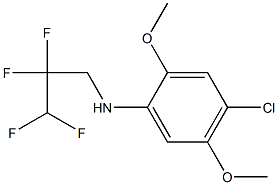 4-chloro-2,5-dimethoxy-N-(2,2,3,3-tetrafluoropropyl)aniline