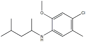 4-chloro-2-methoxy-5-methyl-N-(4-methylpentan-2-yl)aniline