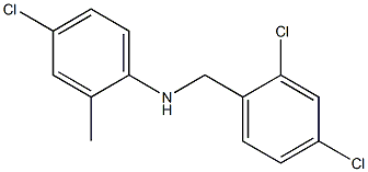 4-chloro-N-[(2,4-dichlorophenyl)methyl]-2-methylaniline 结构式