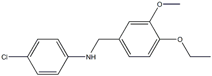 4-chloro-N-[(4-ethoxy-3-methoxyphenyl)methyl]aniline,,结构式