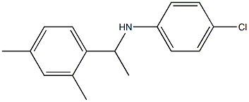 4-chloro-N-[1-(2,4-dimethylphenyl)ethyl]aniline Structure
