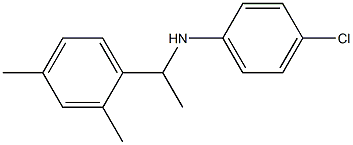  4-chloro-N-[1-(2,4-dimethylphenyl)ethyl]aniline