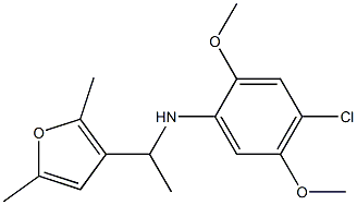 4-chloro-N-[1-(2,5-dimethylfuran-3-yl)ethyl]-2,5-dimethoxyaniline