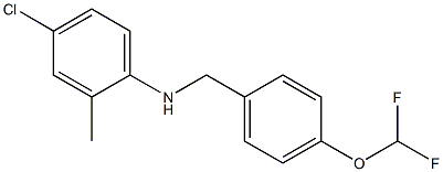 4-chloro-N-{[4-(difluoromethoxy)phenyl]methyl}-2-methylaniline 结构式