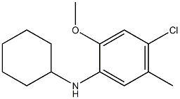 4-chloro-N-cyclohexyl-2-methoxy-5-methylaniline