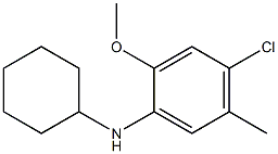  4-chloro-N-cyclohexyl-2-methoxy-5-methylaniline