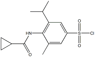 4-cyclopropaneamido-3-methyl-5-(propan-2-yl)benzene-1-sulfonyl chloride Structure