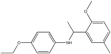 4-ethoxy-N-[1-(2-methoxy-5-methylphenyl)ethyl]aniline 化学構造式