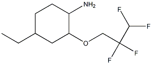 4-ethyl-2-(2,2,3,3-tetrafluoropropoxy)cyclohexan-1-amine Structure