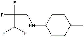 4-methyl-N-(2,2,3,3-tetrafluoropropyl)cyclohexan-1-amine Struktur