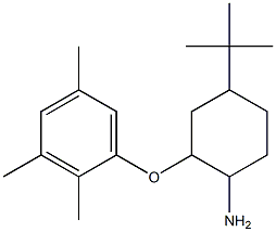  4-tert-butyl-2-(2,3,5-trimethylphenoxy)cyclohexan-1-amine