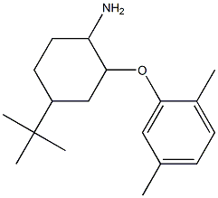 4-tert-butyl-2-(2,5-dimethylphenoxy)cyclohexan-1-amine,,结构式