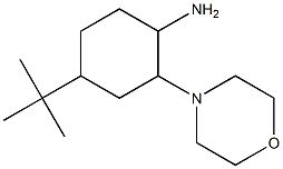  4-tert-butyl-2-morpholin-4-ylcyclohexanamine