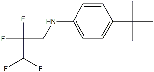 4-tert-butyl-N-(2,2,3,3-tetrafluoropropyl)aniline,,结构式