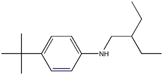 4-tert-butyl-N-(2-ethylbutyl)aniline Struktur