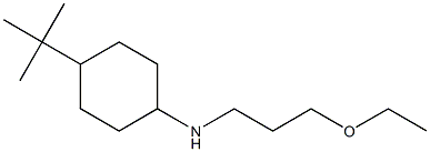 4-tert-butyl-N-(3-ethoxypropyl)cyclohexan-1-amine