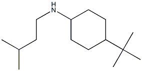 4-tert-butyl-N-(3-methylbutyl)cyclohexan-1-amine