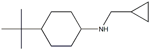 4-tert-butyl-N-(cyclopropylmethyl)cyclohexan-1-amine 结构式