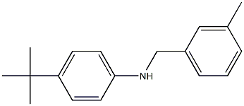 4-tert-butyl-N-[(3-methylphenyl)methyl]aniline Structure