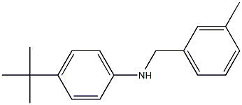 4-tert-butyl-N-[(3-methylphenyl)methyl]aniline 结构式