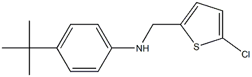 4-tert-butyl-N-[(5-chlorothiophen-2-yl)methyl]aniline,,结构式