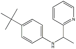 4-tert-butyl-N-[1-(pyridin-2-yl)ethyl]aniline Structure