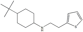 4-tert-butyl-N-[2-(thiophen-2-yl)ethyl]cyclohexan-1-amine Structure