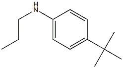 4-tert-butyl-N-propylaniline Structure