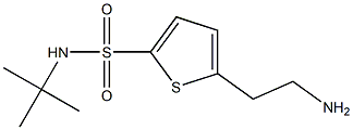 5-(2-aminoethyl)-N-(tert-butyl)thiophene-2-sulfonamide Structure