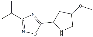 5-(4-methoxypyrrolidin-2-yl)-3-(propan-2-yl)-1,2,4-oxadiazole Struktur