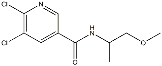 5,6-dichloro-N-(1-methoxypropan-2-yl)pyridine-3-carboxamide 化学構造式