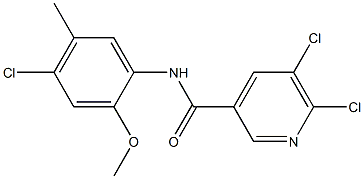 5,6-dichloro-N-(4-chloro-2-methoxy-5-methylphenyl)pyridine-3-carboxamide Struktur