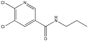 5,6-dichloro-N-propylpyridine-3-carboxamide,,结构式