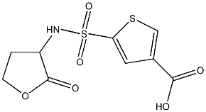 5-[(2-oxooxolan-3-yl)sulfamoyl]thiophene-3-carboxylic acid Structure