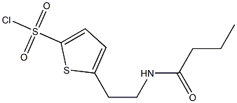 5-[2-(butyrylamino)ethyl]thiophene-2-sulfonyl chloride Structure