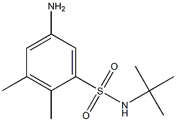  5-amino-N-tert-butyl-2,3-dimethylbenzene-1-sulfonamide