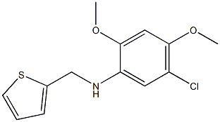 5-chloro-2,4-dimethoxy-N-(thiophen-2-ylmethyl)aniline 结构式