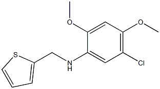 5-chloro-2,4-dimethoxy-N-(thiophen-2-ylmethyl)aniline 化学構造式