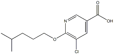 5-chloro-6-[(4-methylpentyl)oxy]pyridine-3-carboxylic acid Struktur