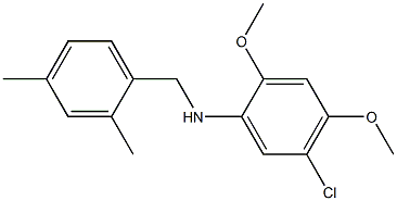 5-chloro-N-[(2,4-dimethylphenyl)methyl]-2,4-dimethoxyaniline 结构式